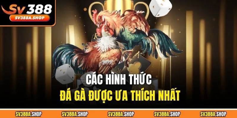 Các hình thức đá gà được ưa thích nhất
