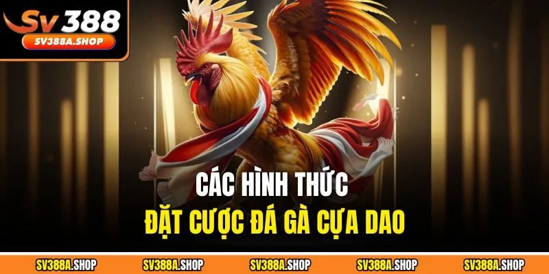 Các hình thức đặt cược đá gà cựa dao