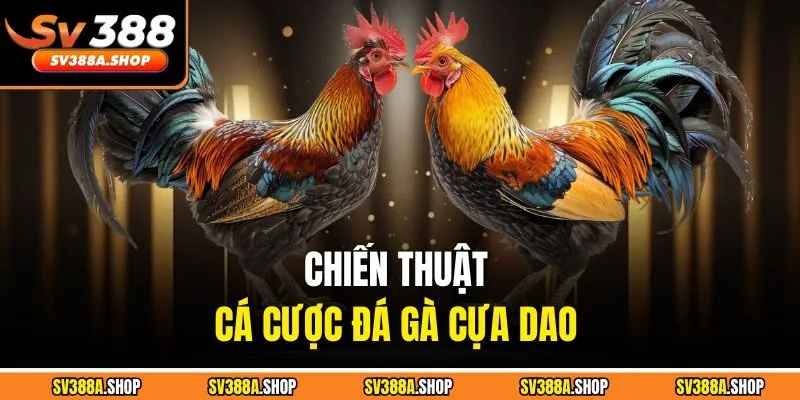 Chiến thuật cá cược đá gà cựa dao