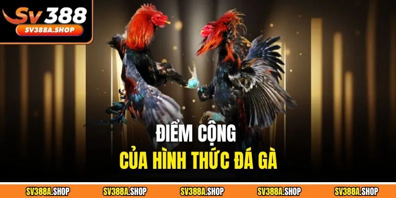 Điểm cộng của hình thức đá gà