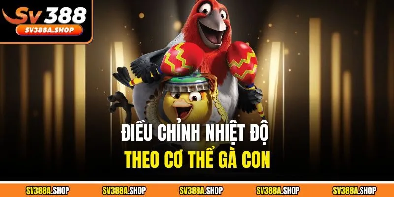 Điều chỉnh nhiệt độ theo cơ thể gà con