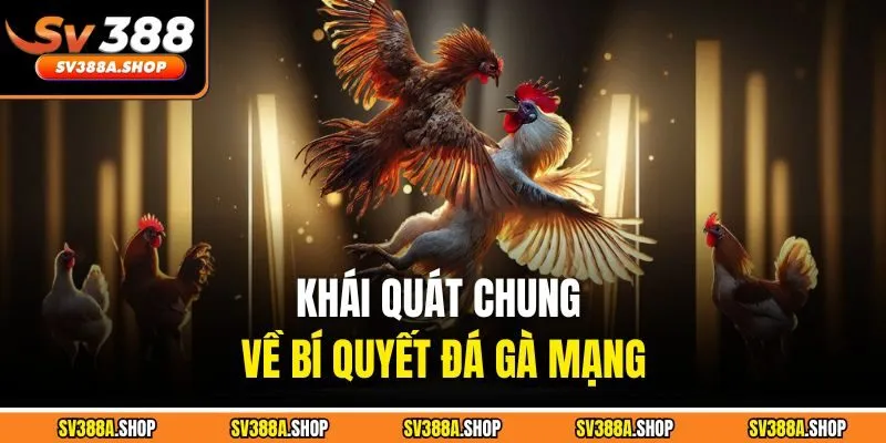 Khái quát chung về bí quyết đá gà mạng