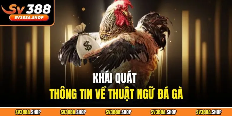 Khái quát thông tin về thuật ngữ đá gà