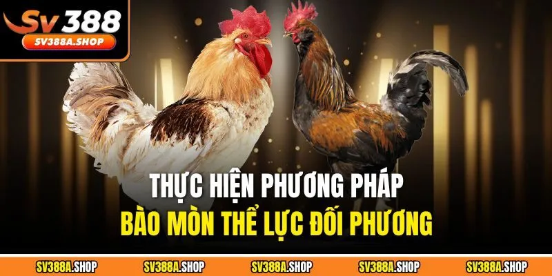 Thực hiện phương pháp bào mòn thể lực đối phương